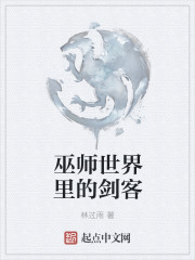 巫师世界里的剑客