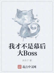 我才不是幕后大Boss